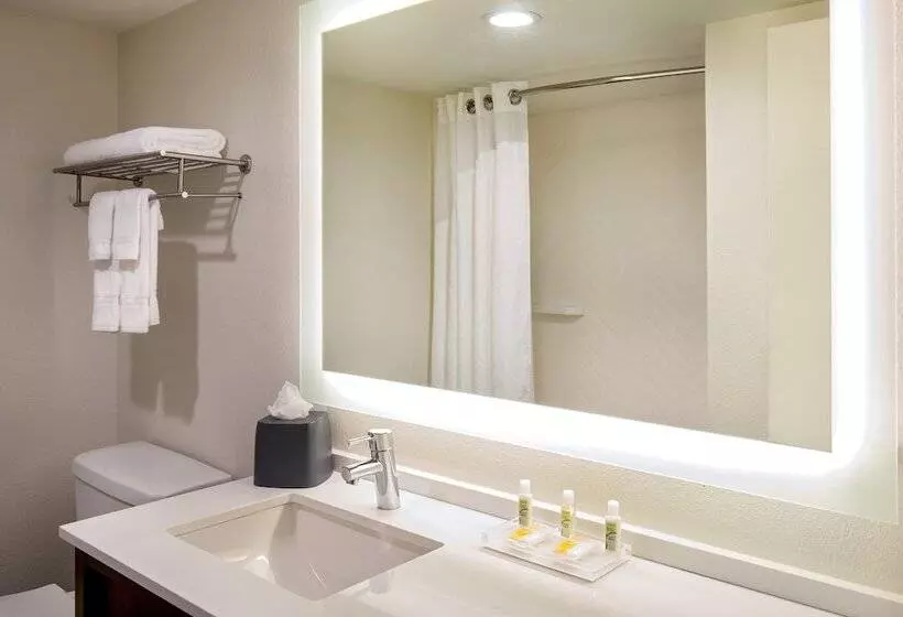 Hotelli Holiday Inn Newport News   Hampton By Ihg