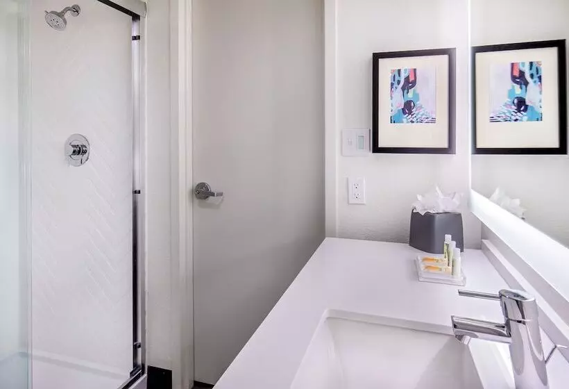 Hotelli Holiday Inn Newport News   Hampton By Ihg