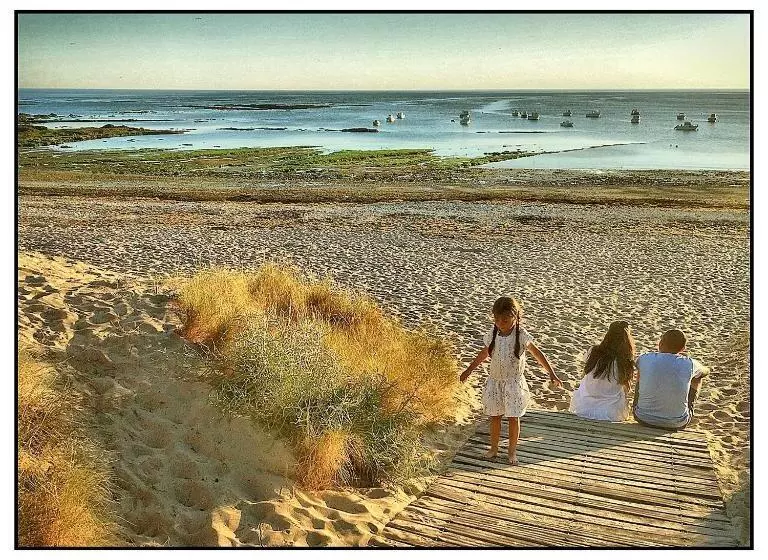ホテル Hôtel De La Petite Plage
