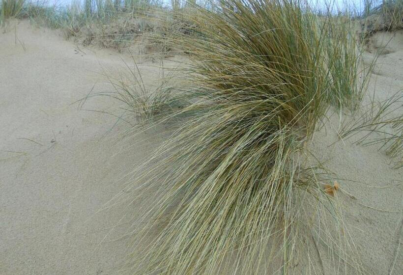 호텔 Hôtel De La Petite Plage