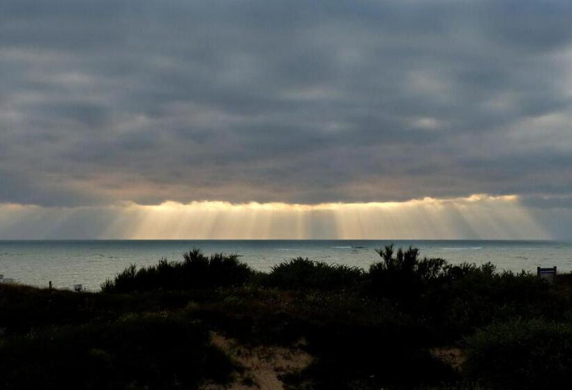 호텔 Hôtel De La Petite Plage