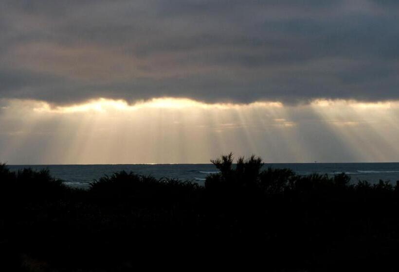 호텔 Hôtel De La Petite Plage