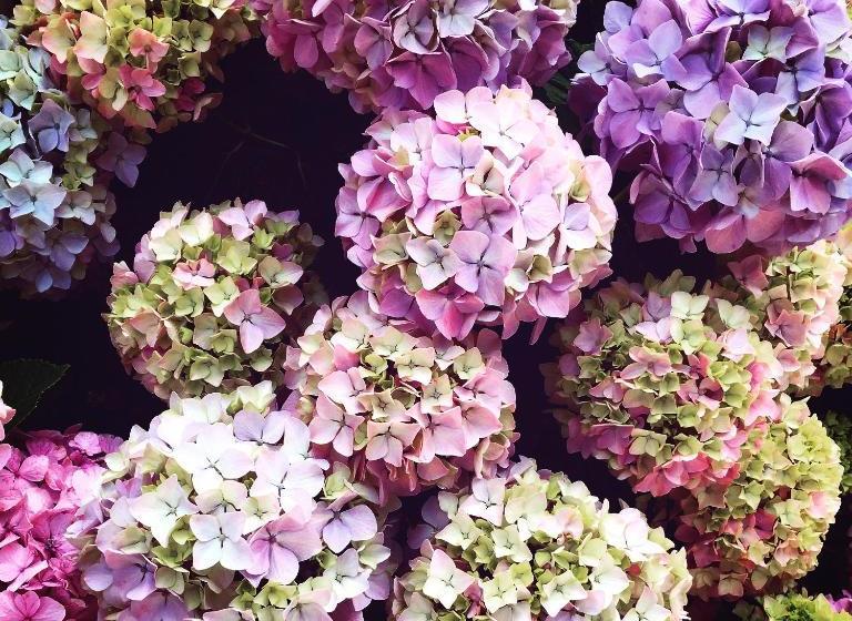 هتل Hôtel Méditerranée