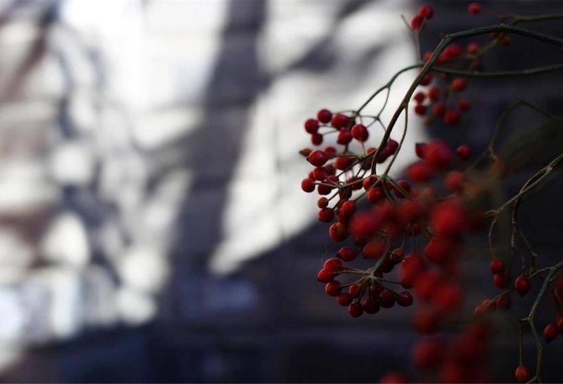 호텔 Oriental Beauty