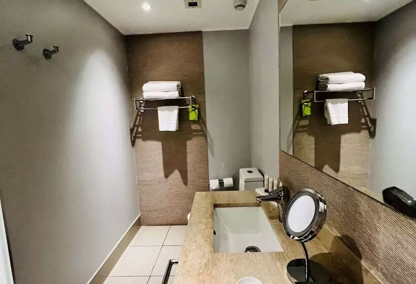 ホテル Radisson  Curico