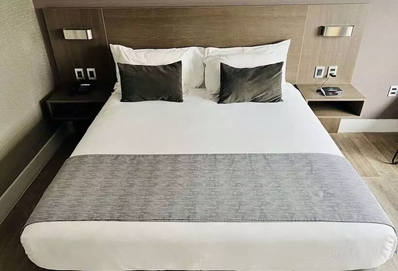 ホテル Radisson  Curico