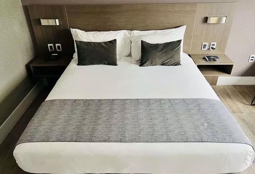 ホテル Radisson  Curico