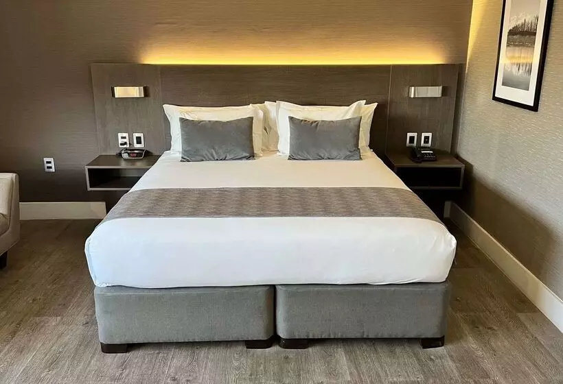 ホテル Radisson  Curico