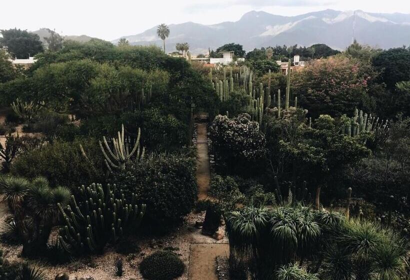 Общежитие Hostal Andaina