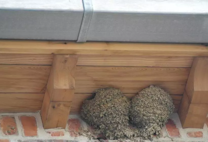 Bed & Breakfast De Kouterhoeve