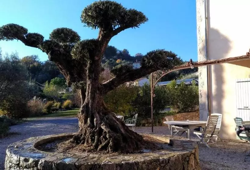 ベッドアンドブレックファースト L Escale Provençale