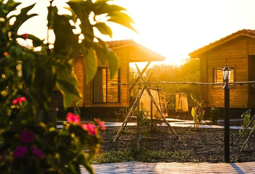 تختخواب و صبحانه Lemon Garden Lodge