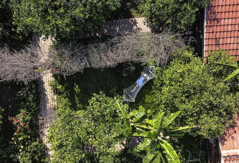 تختخواب و صبحانه Lemon Garden Lodge