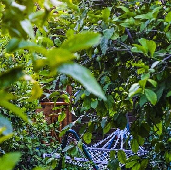 تختخواب و صبحانه Lemon Garden Lodge