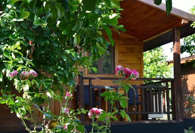 تختخواب و صبحانه Lemon Garden Lodge