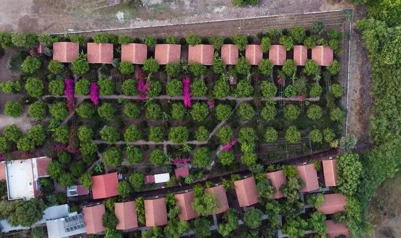 تختخواب و صبحانه Lemon Garden Lodge