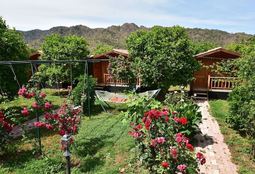 تختخواب و صبحانه Lemon Garden Lodge