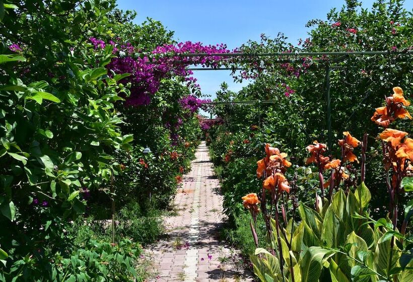 تختخواب و صبحانه Lemon Garden Lodge