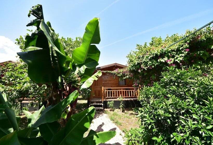 تختخواب و صبحانه Lemon Garden Lodge