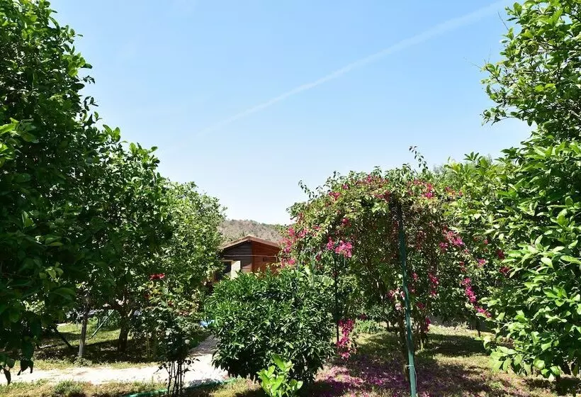تختخواب و صبحانه Lemon Garden Lodge