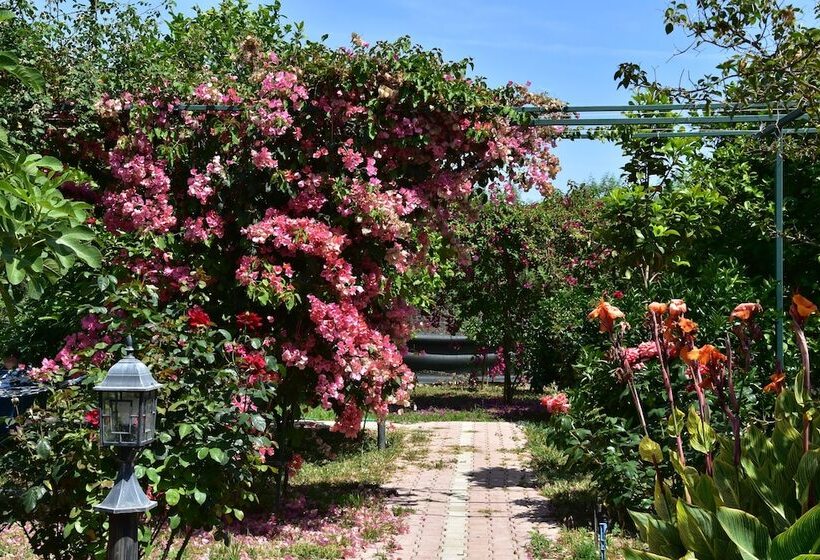 تختخواب و صبحانه Lemon Garden Lodge