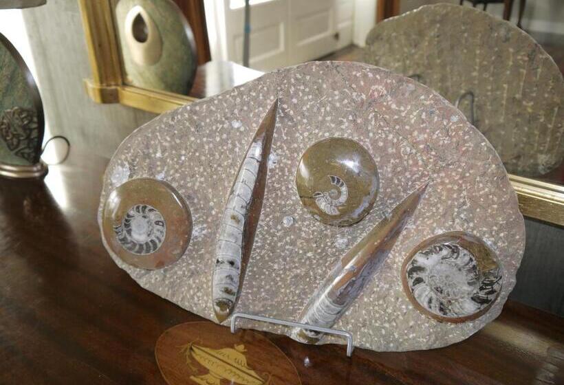 צימר The Carriage Houses At Beechpark House