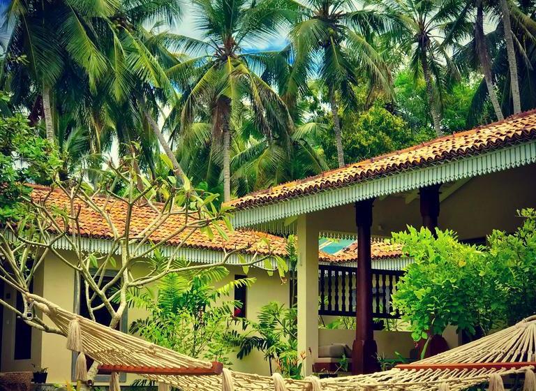 בית מלון כפרי Aga Surf View