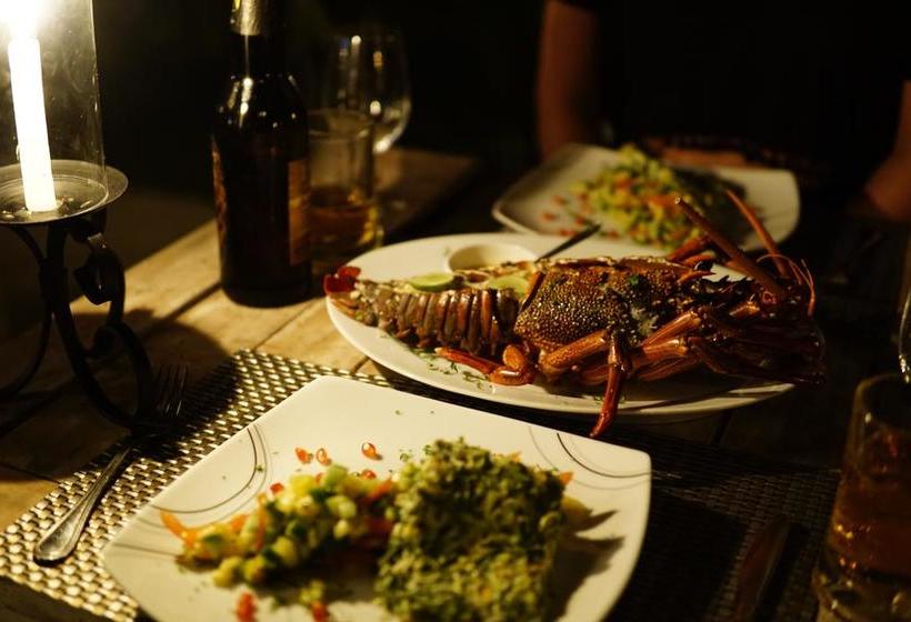 בית מלון כפרי Aga Surf View