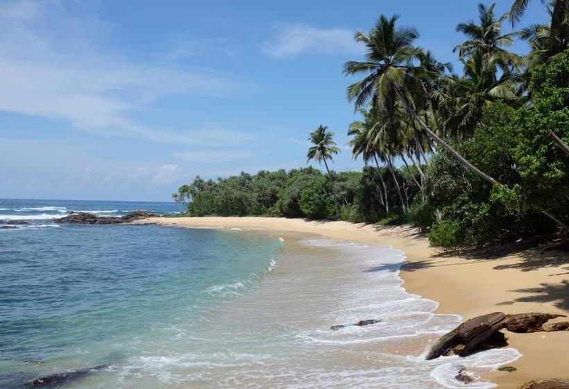 בית מלון כפרי Aga Surf View