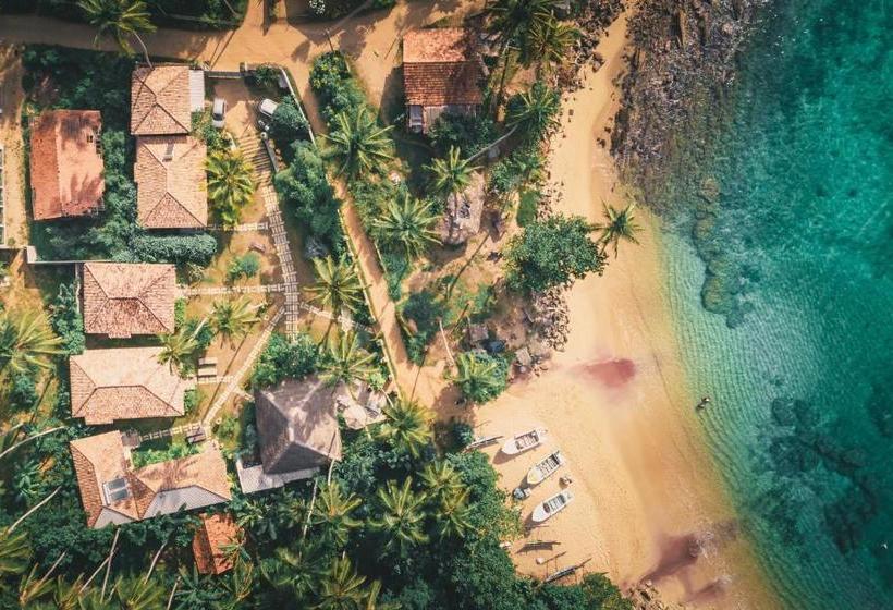 בית מלון כפרי Aga Surf View