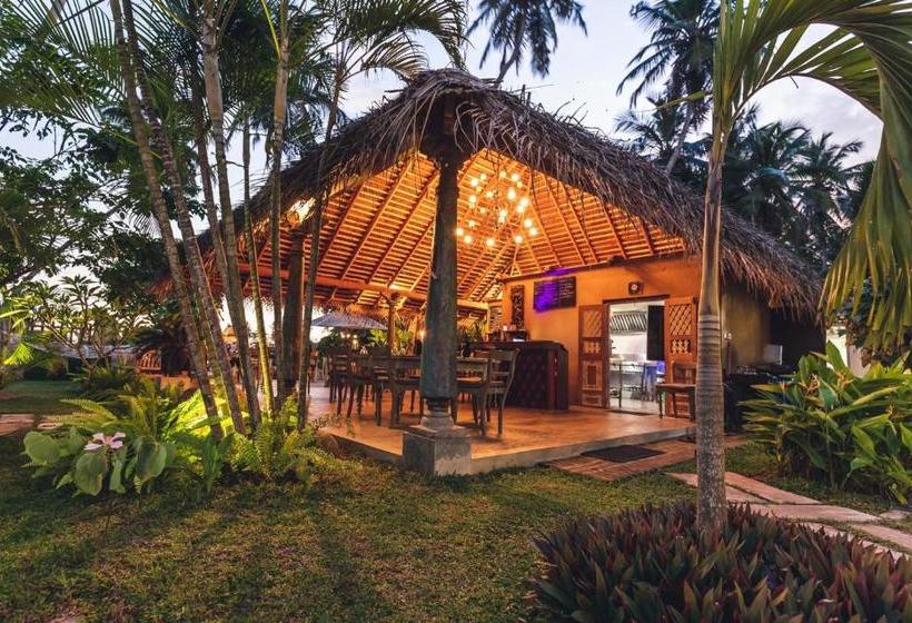 בית מלון כפרי Aga Surf View