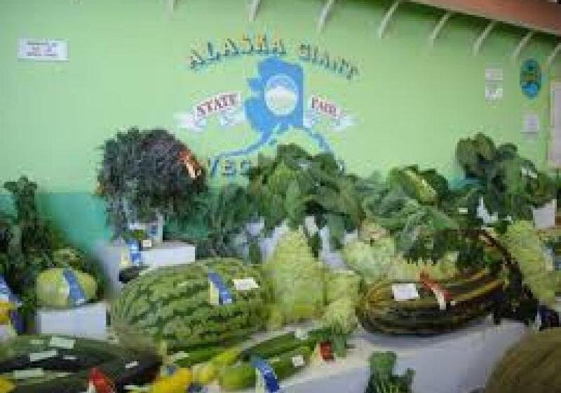 בית מלון כפרי Staybridge Suites Anchorage, An Ihg