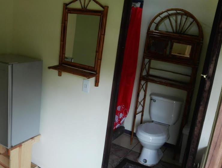 Общежитие Blue Sunshine