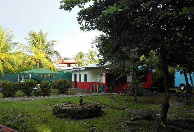 Общежитие Blue Sunshine