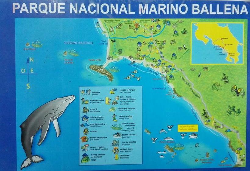 Общежитие Blue Sunshine