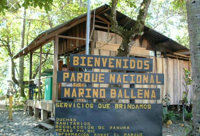 Общежитие Blue Sunshine