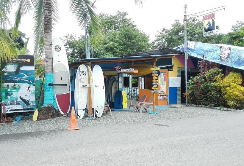 Общежитие Blue Sunshine