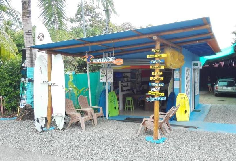 Общежитие Blue Sunshine