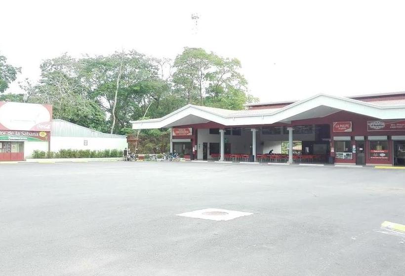 Общежитие Blue Sunshine