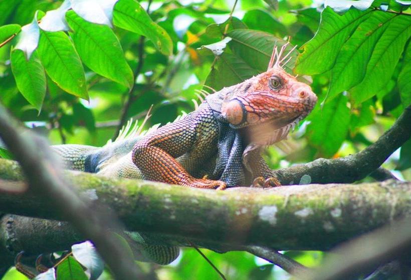 Общежитие Blue Sunshine