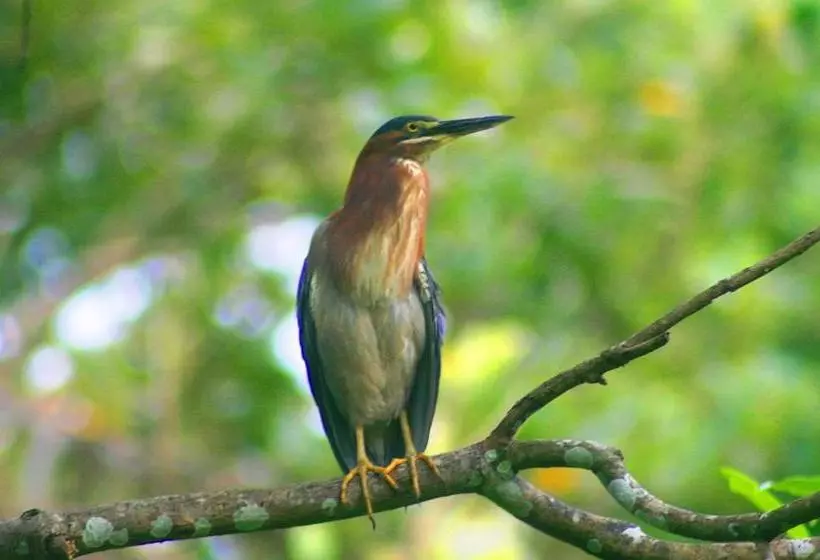 Retkeilymaja Blue Sunshine