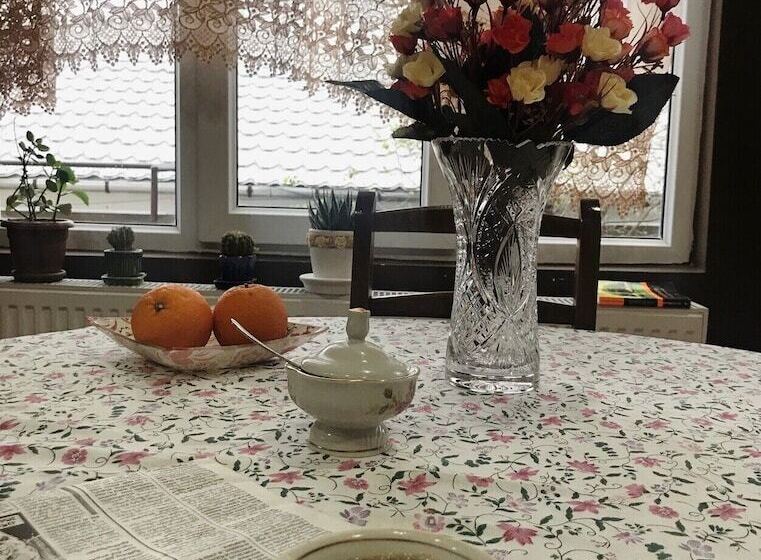 هاستل Mimino Guest House