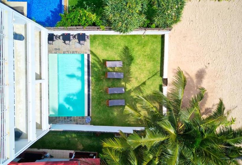 Bed and Breakfast Bieshu Beach Hive