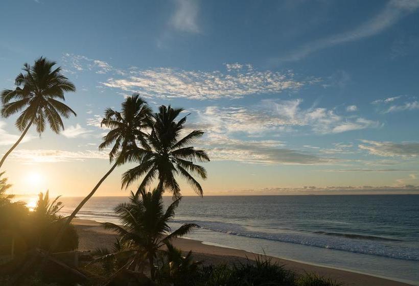 Bed and Breakfast Bieshu Beach Hive