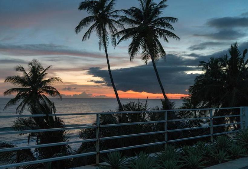 Bed and Breakfast Bieshu Beach Hive