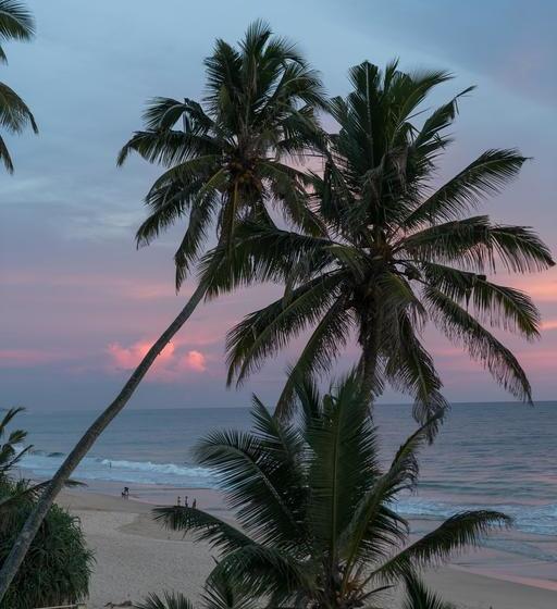 Bed and Breakfast Bieshu Beach Hive