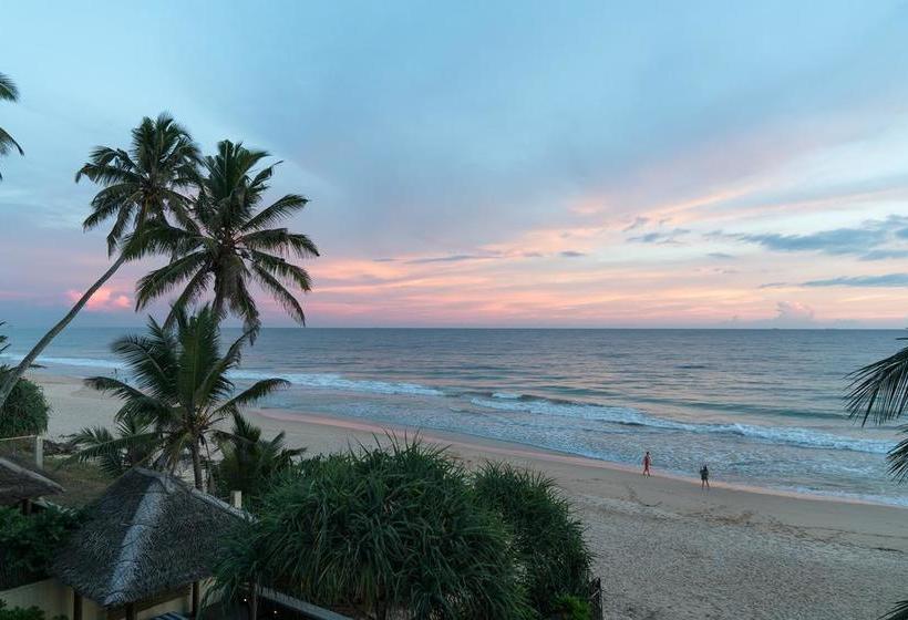 Bed and Breakfast Bieshu Beach Hive