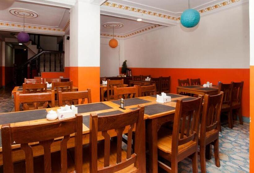 هتل Kathmandu Regency