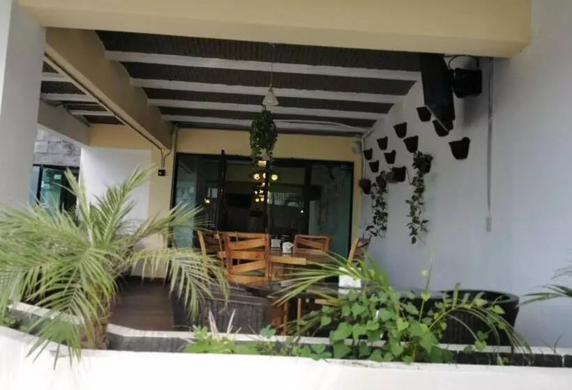 ホテル Venados Inn