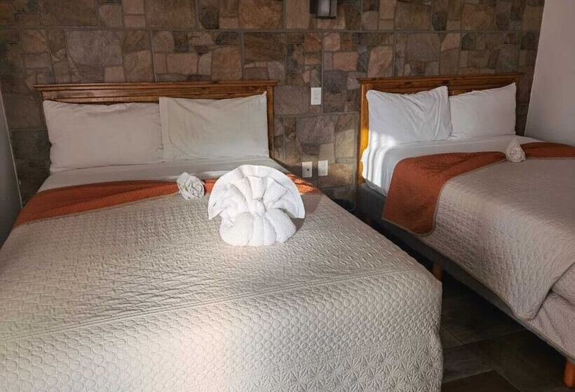 ホテル Venados Inn